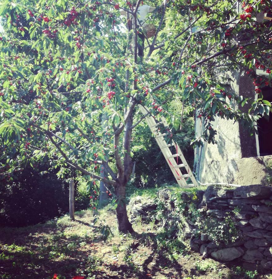 Berzuaia Bed & Breakfast วาราซเซ ภายนอก รูปภาพ